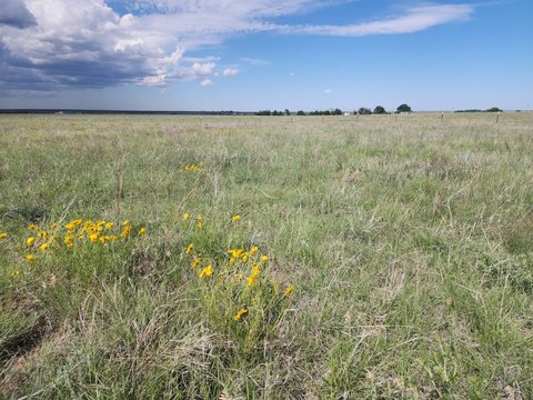 Recreation Land with Water Well