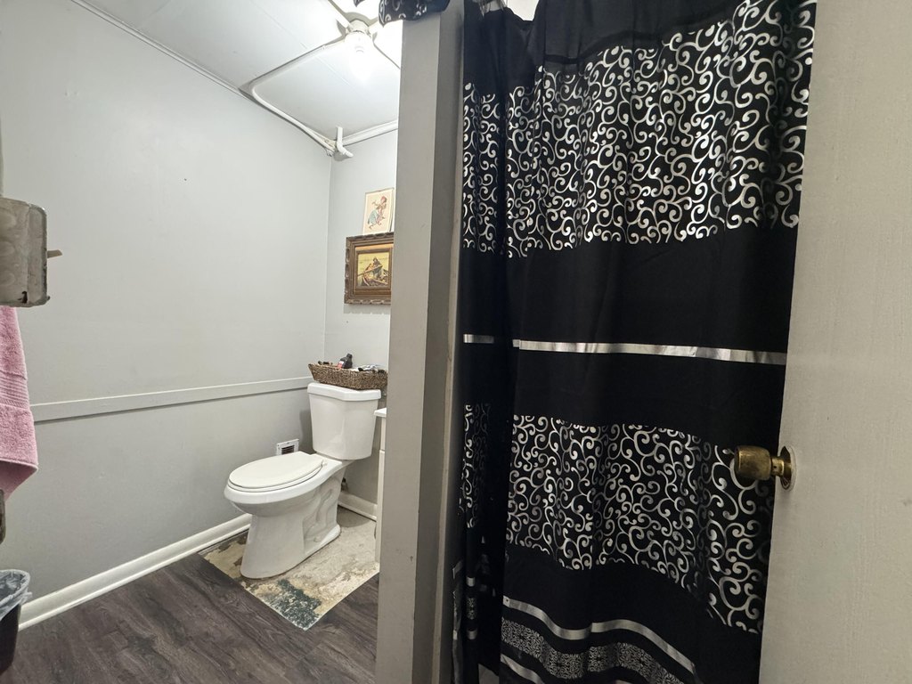 Picture 36