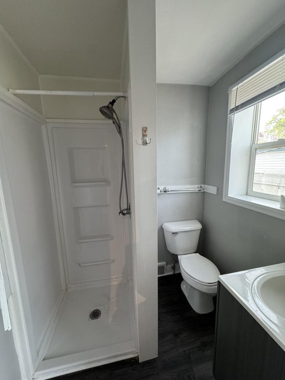 Picture 24