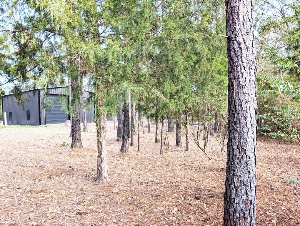 Picture 4