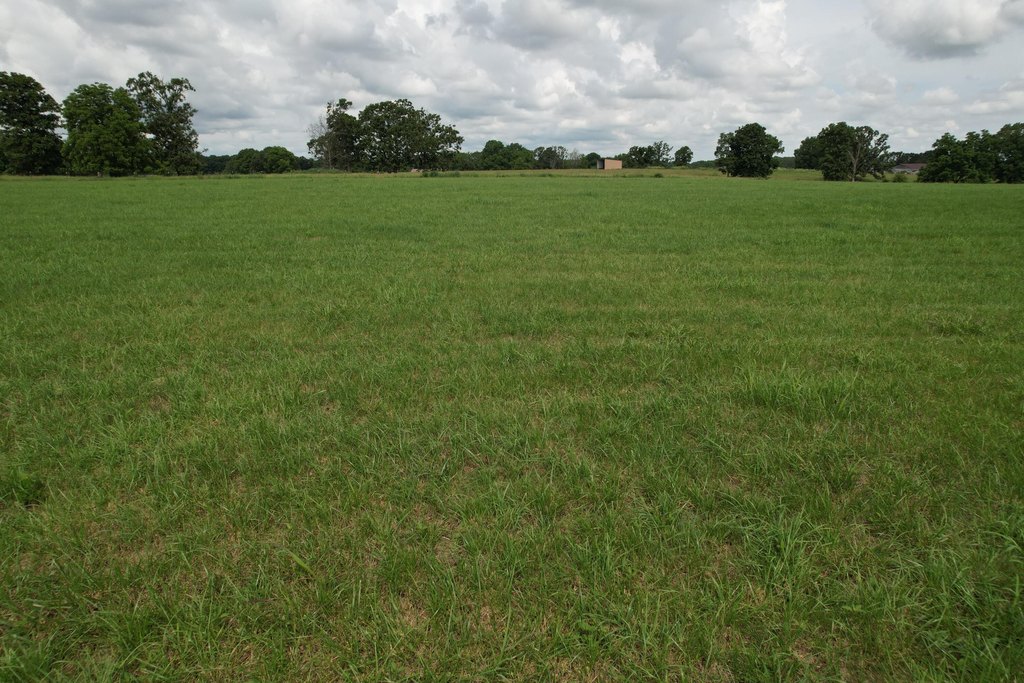 Picture 19