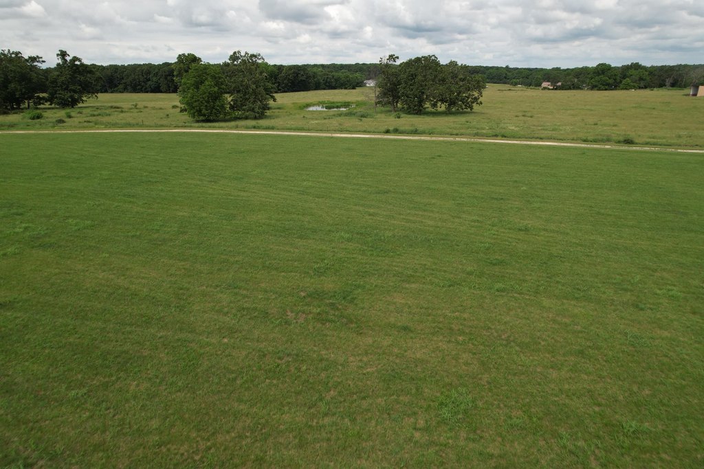 Picture 25