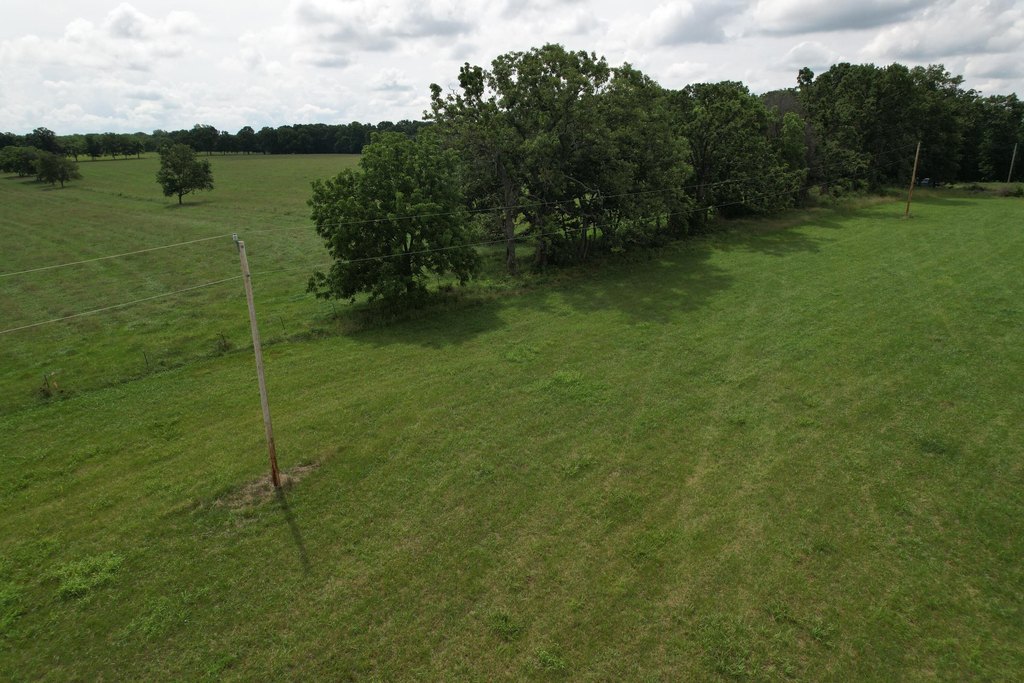 Picture 13