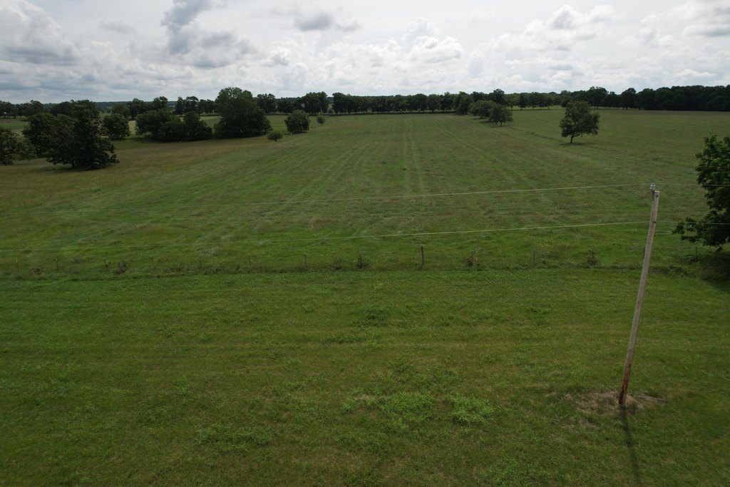 Picture 14