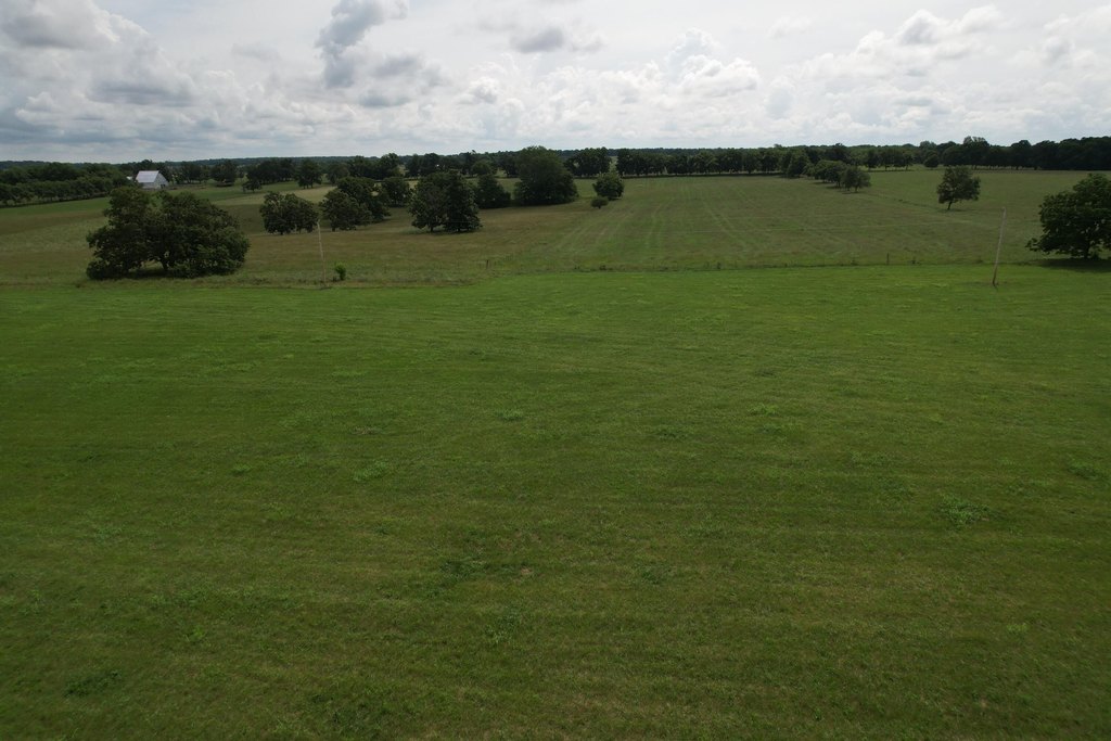 Picture 12