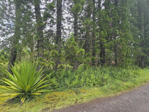 LAND - Kurtistown, HI