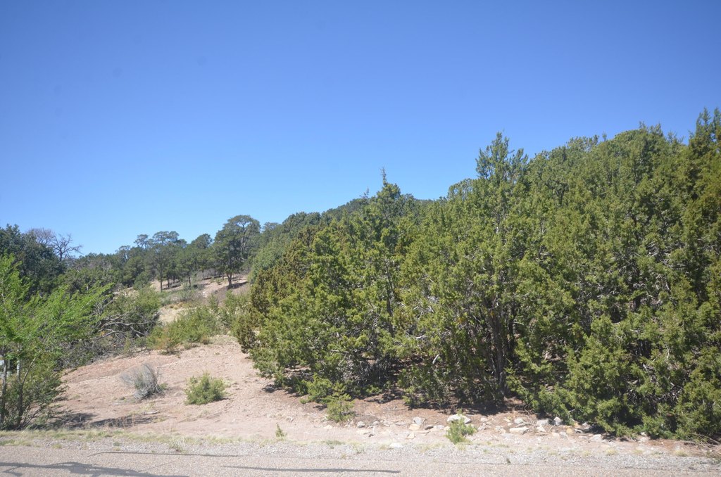 Picture 28