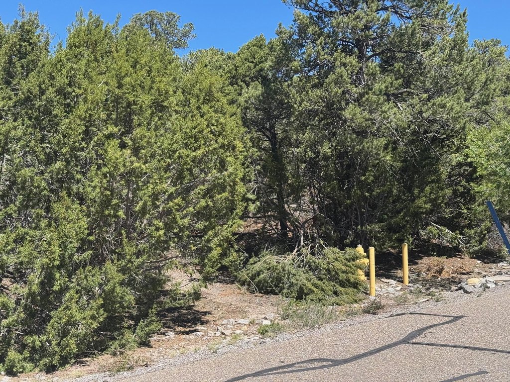 Picture 30