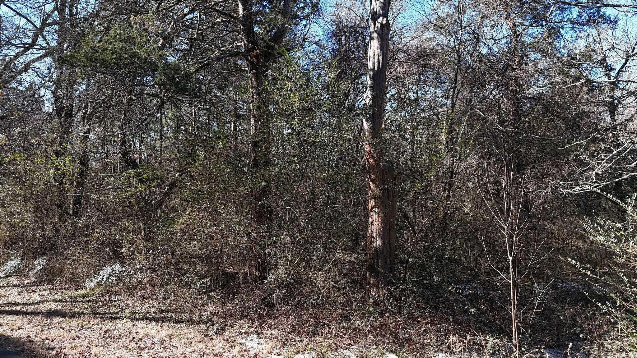 Wooded Lot in Mena, AR