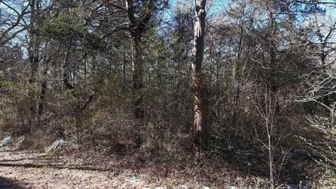 Wooded Lot in Mena, AR