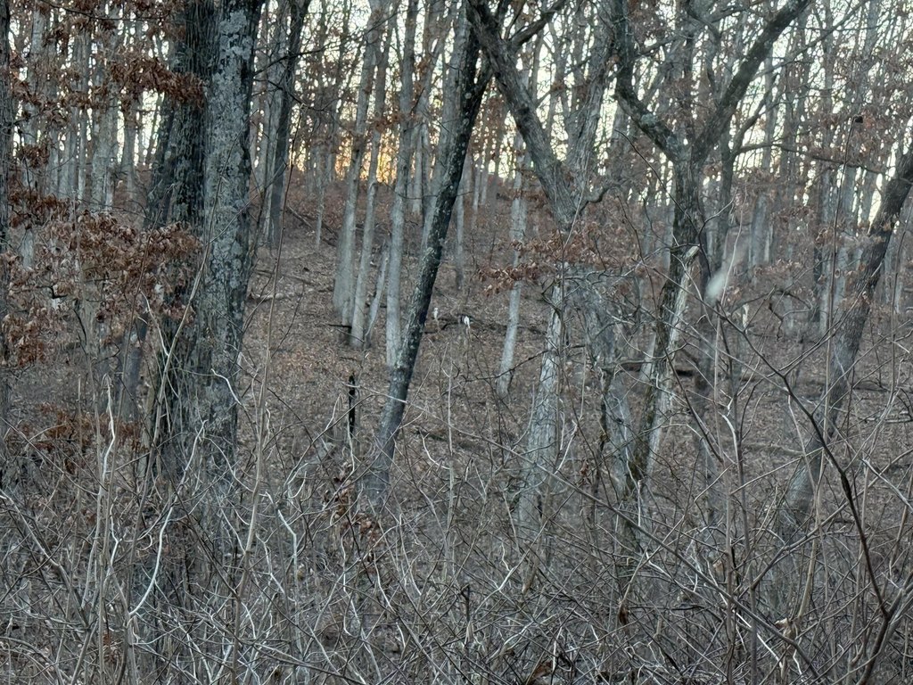 Picture 39