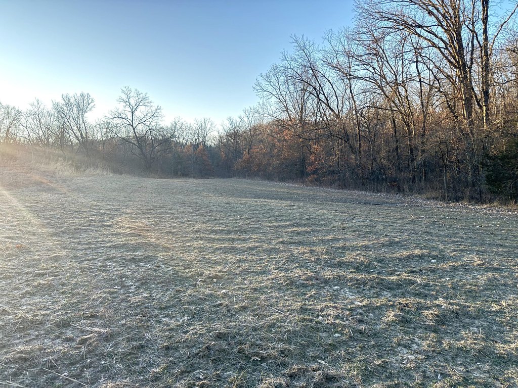 Picture 45