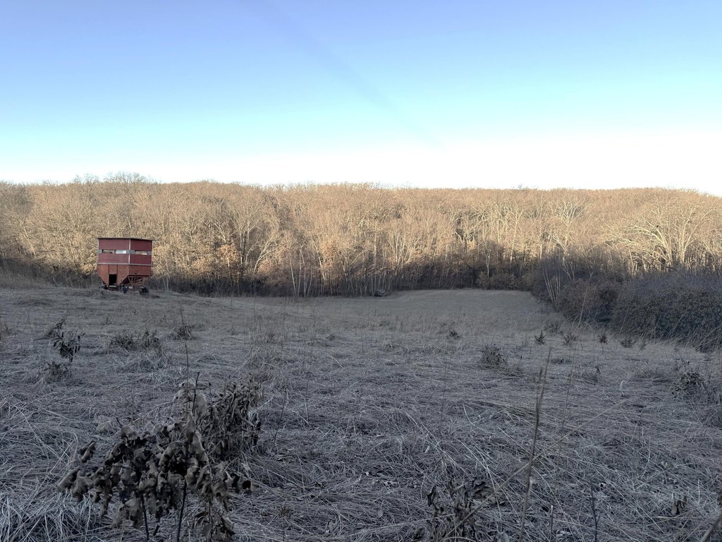 Picture 34