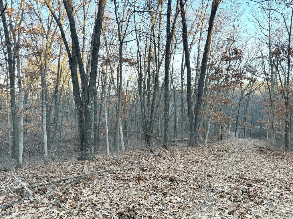 Picture 38