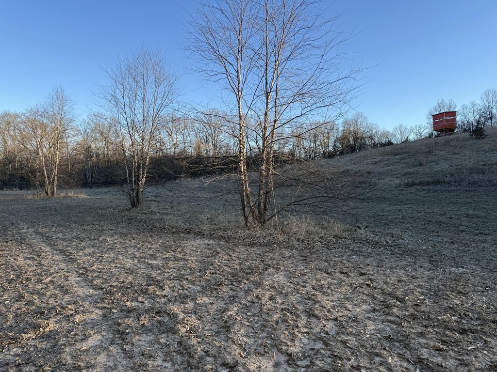 Picture 36