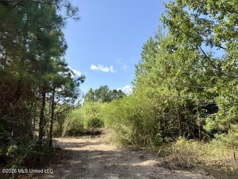 LAND - Franklinton, LA