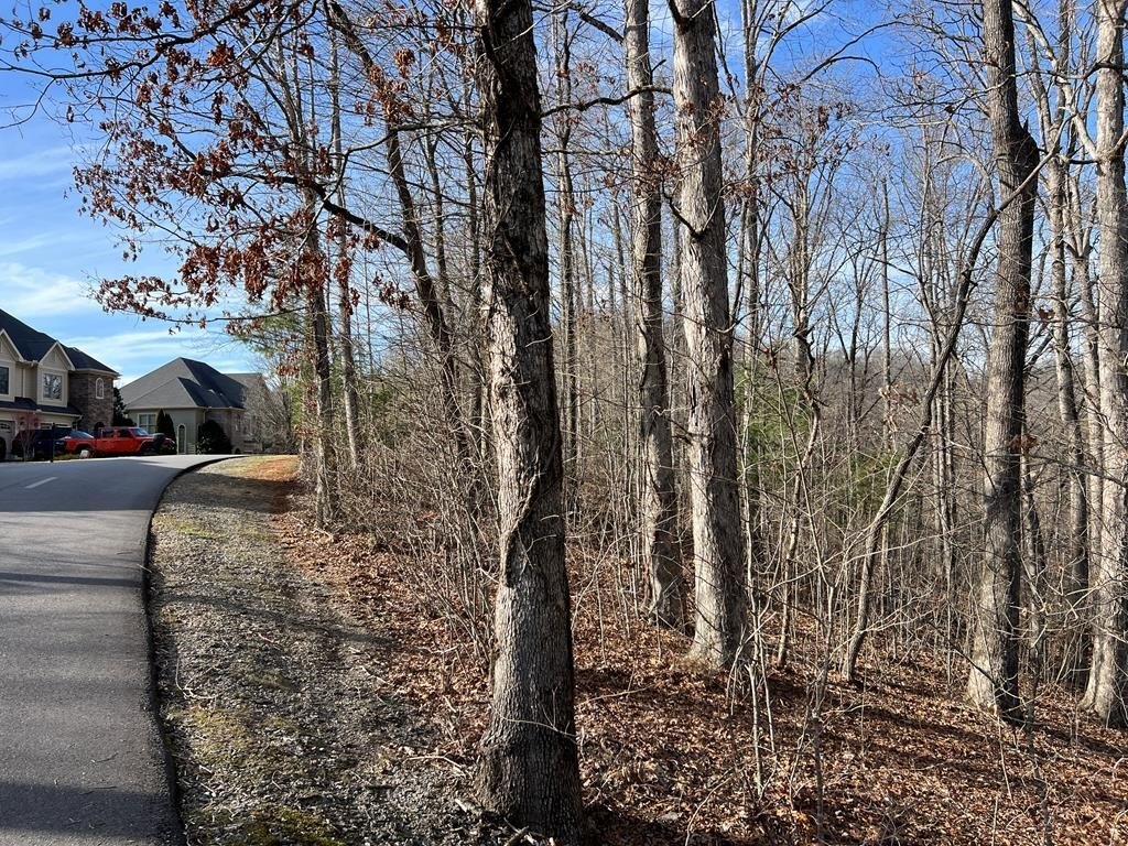 Picture 25