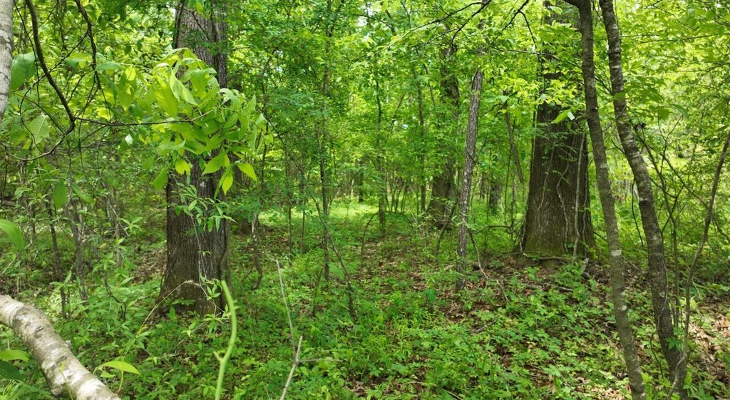 Picture 36