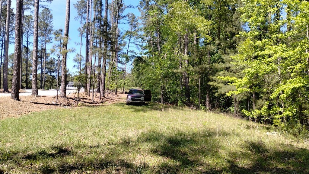 Picture 6