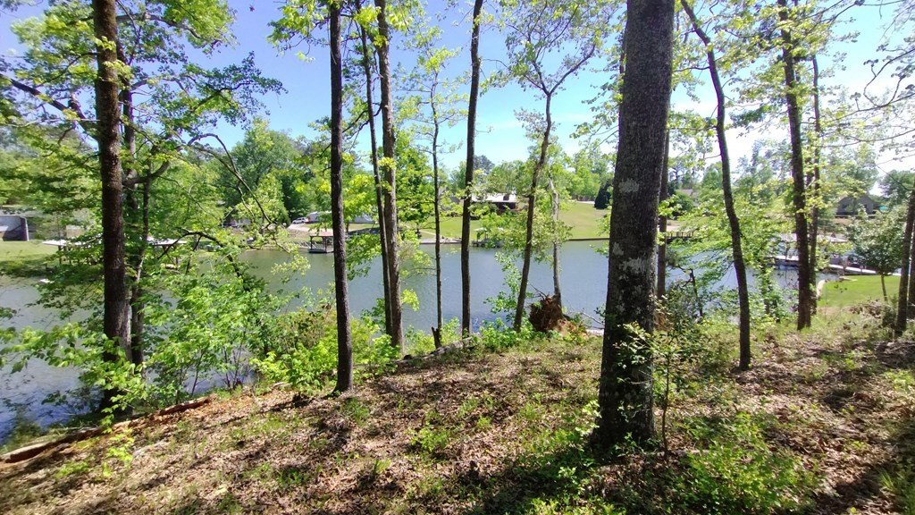 Picture 2