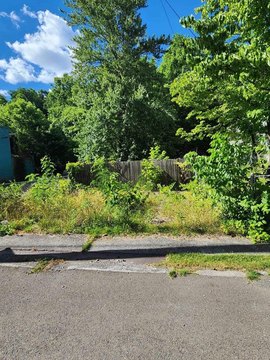 Land Near Trails in Northfork