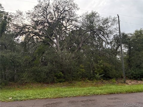 Land, Citrus Springs, FL