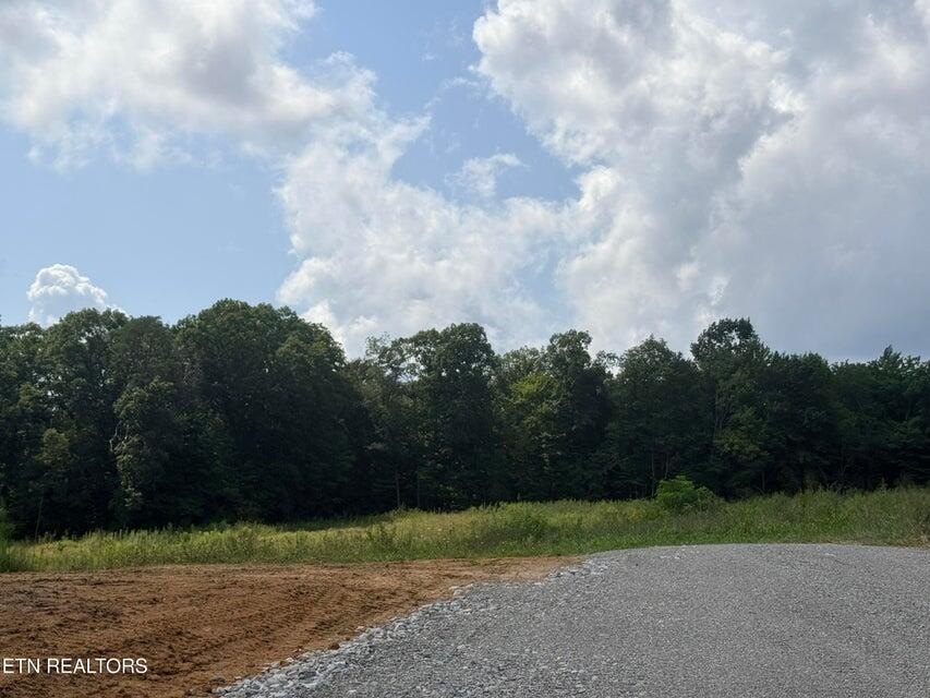 Picture 14