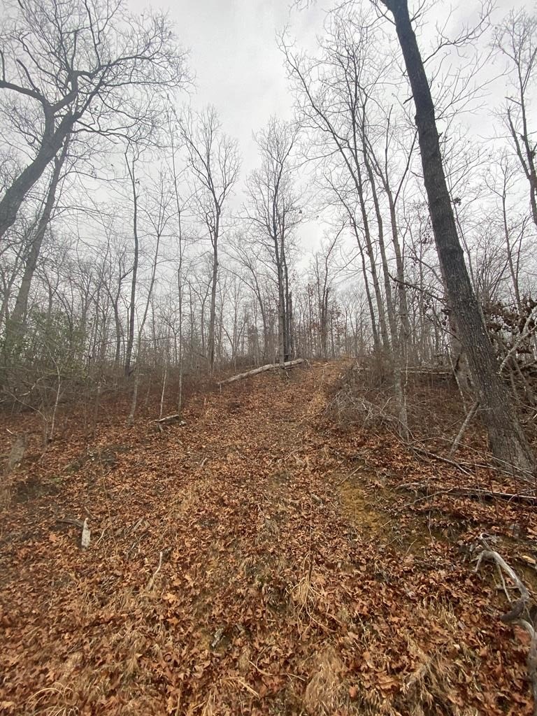 Undeveloped Acreage in Salyersville, KY