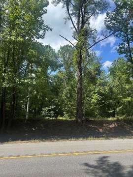 LAND - Waverly Hall, GA