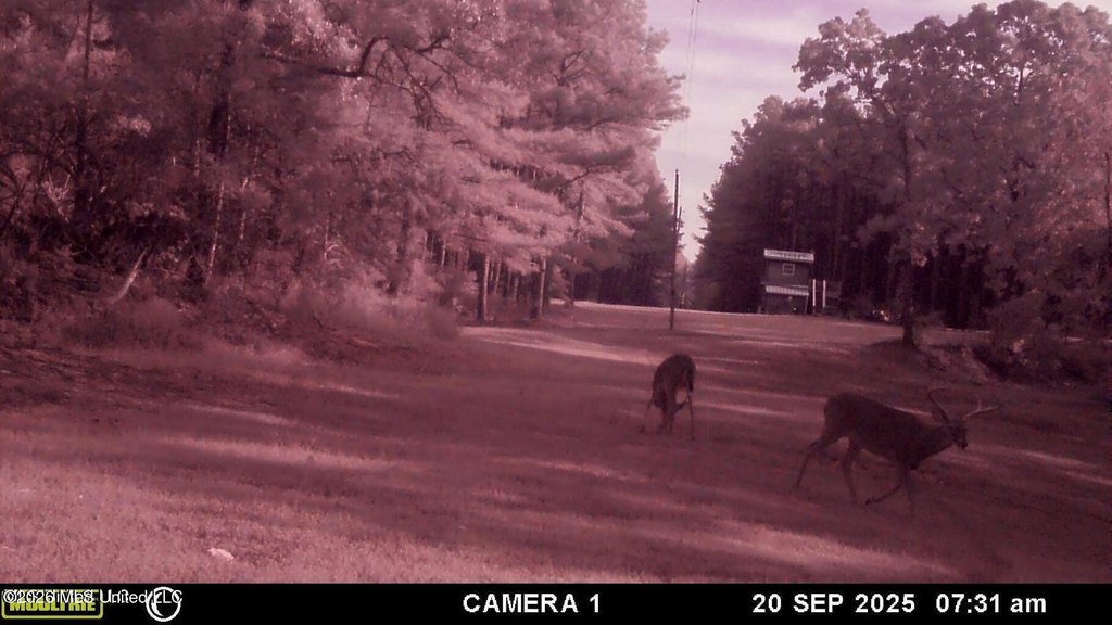 Picture 56