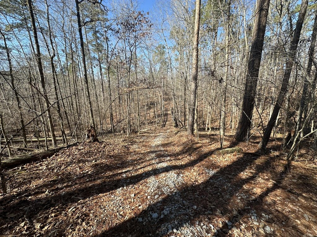 Picture 11