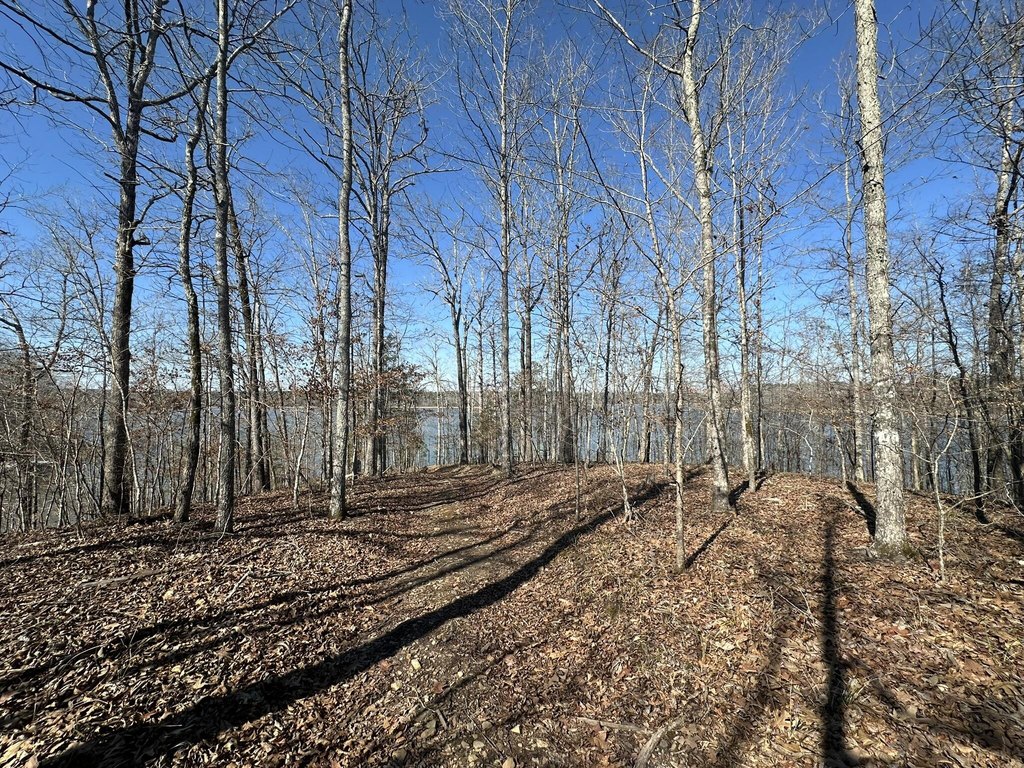 Picture 14