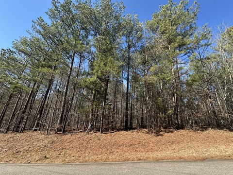LAND - Lincolnton, GA