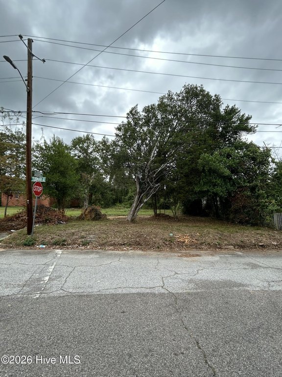 Picture 2