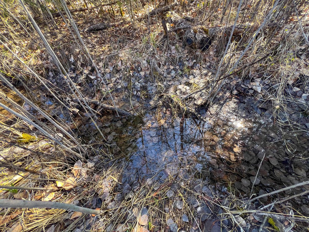 Picture 11