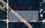 Land, O'Brien, FL