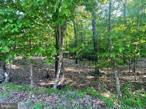 Land, BERKELEY SPRINGS, WV