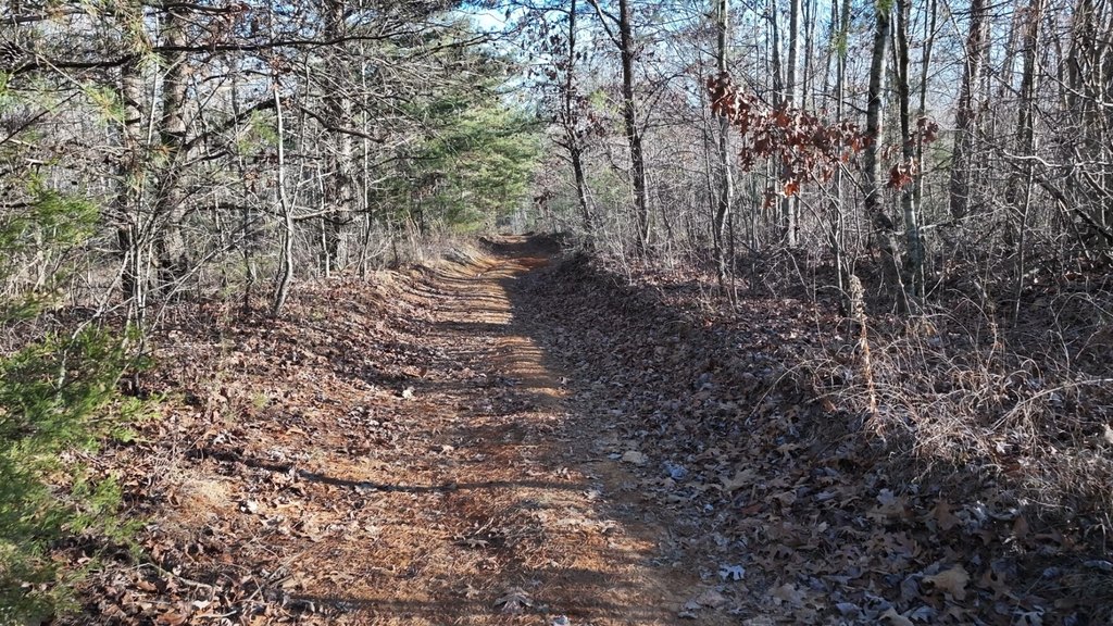 Picture 19