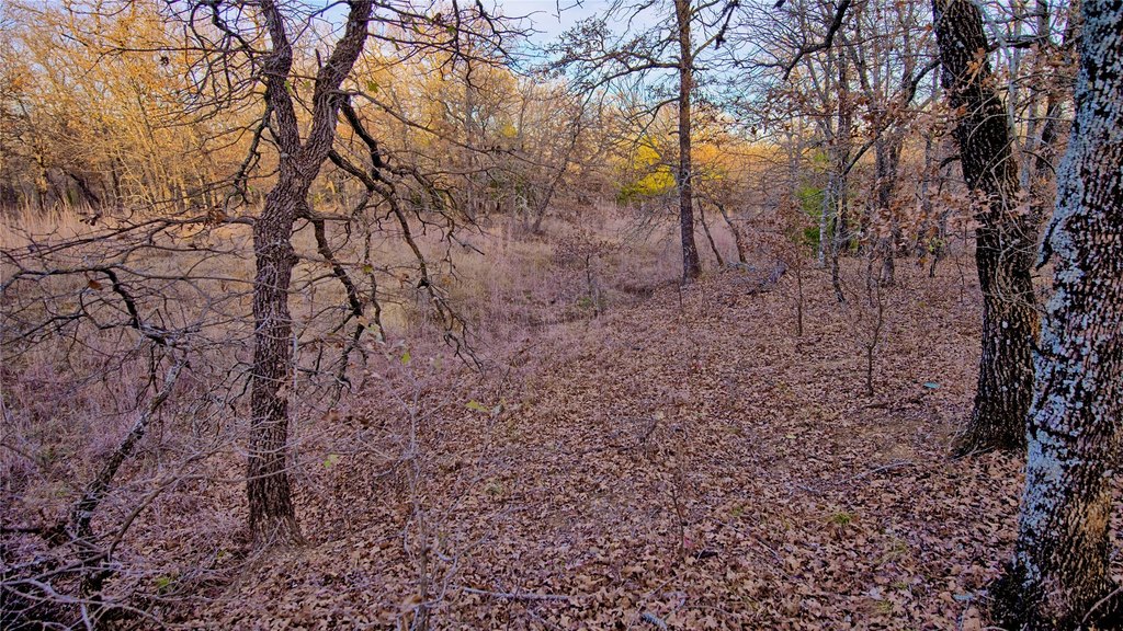 Picture 8