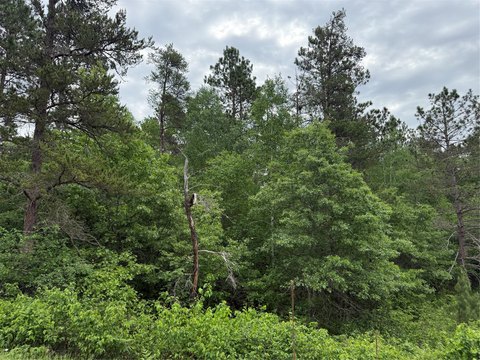 Wooded Lot in Potawatomi Estates
