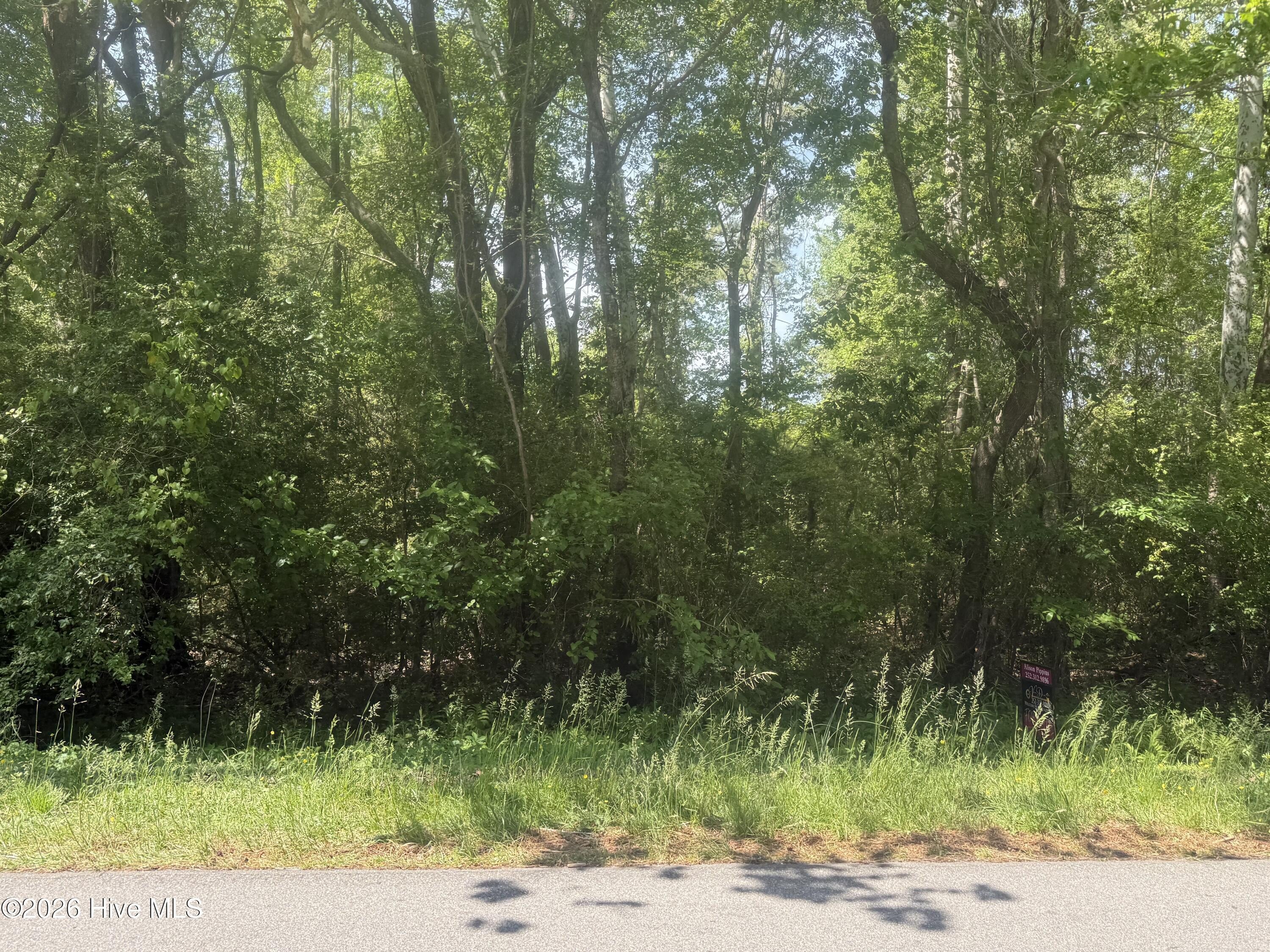 Wooded Lot Near Albemarle Sound