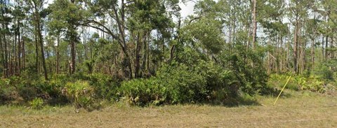 LAND - PORT CHARLOTTE, FL