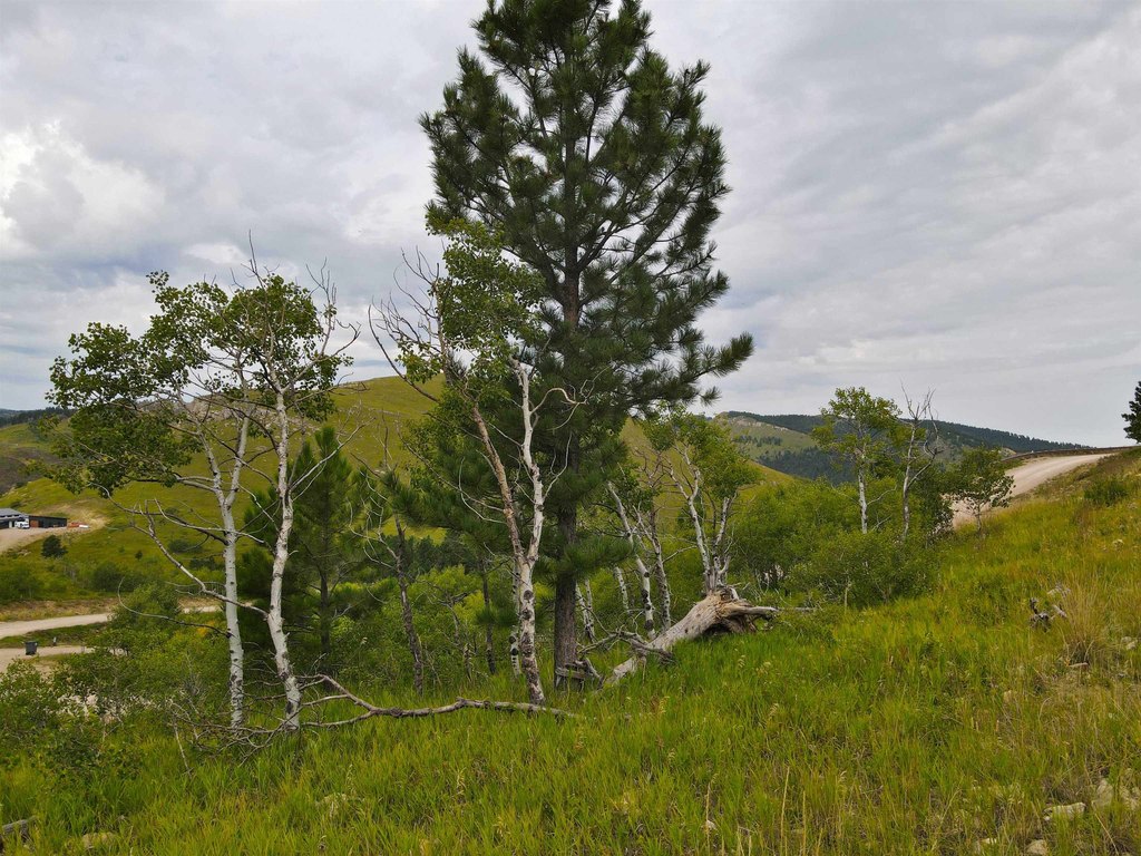 Picture 10