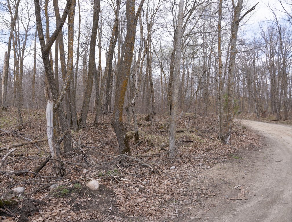 Picture 19