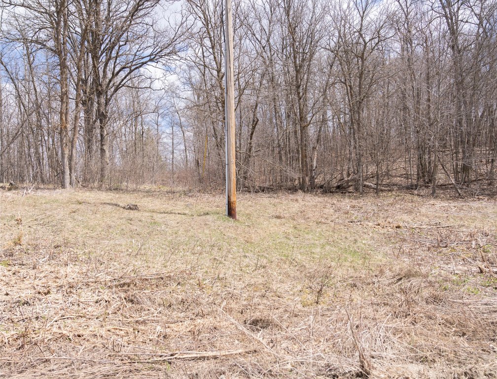 Picture 16