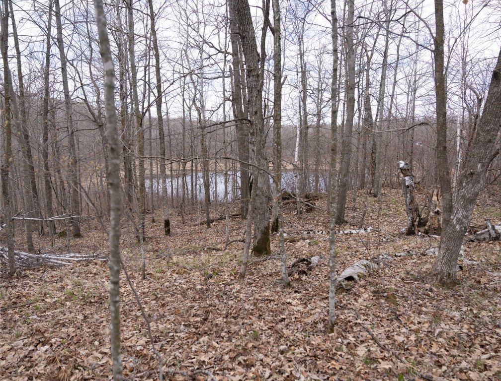 Picture 12