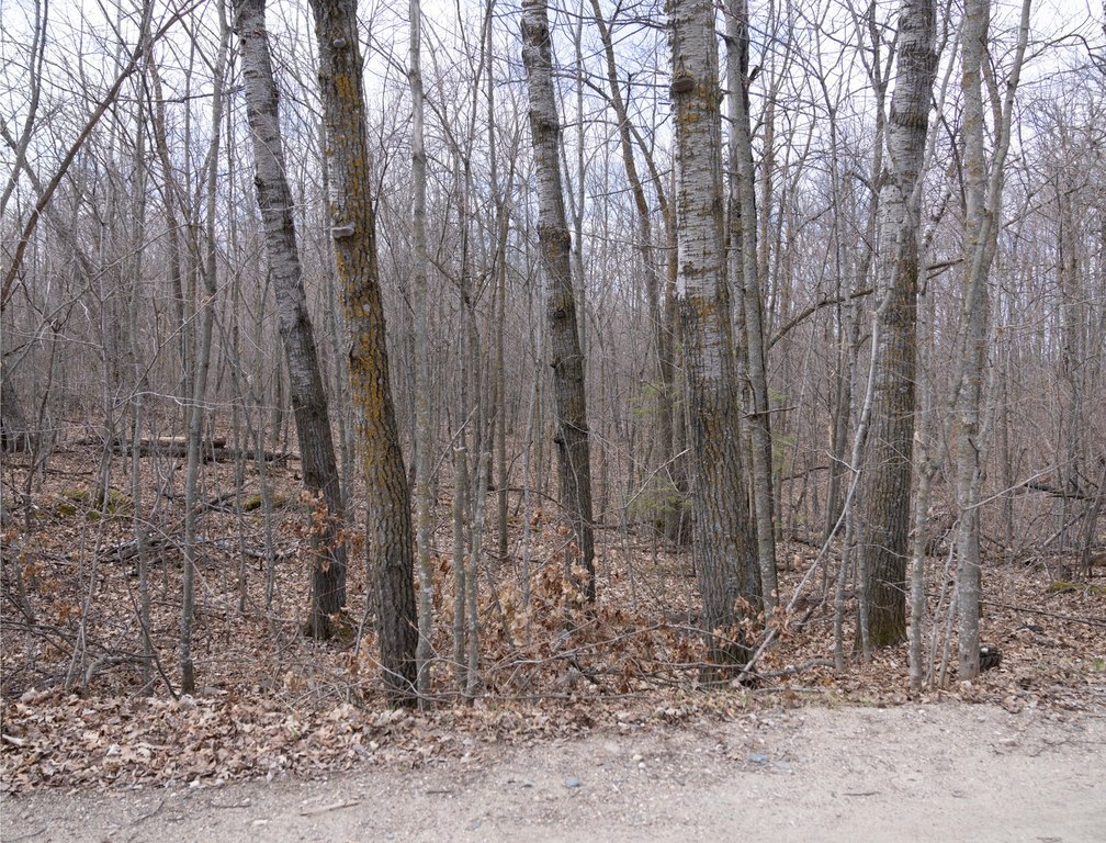 Picture 17