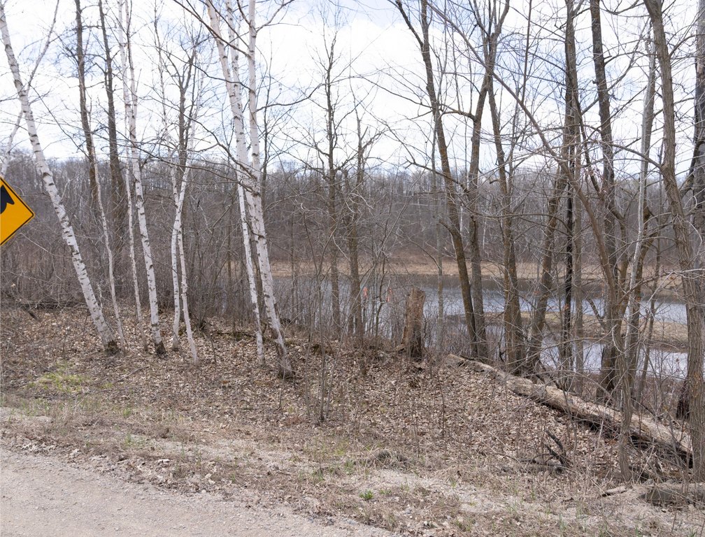 Picture 13