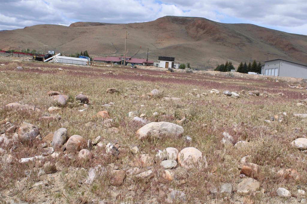 Picture 24