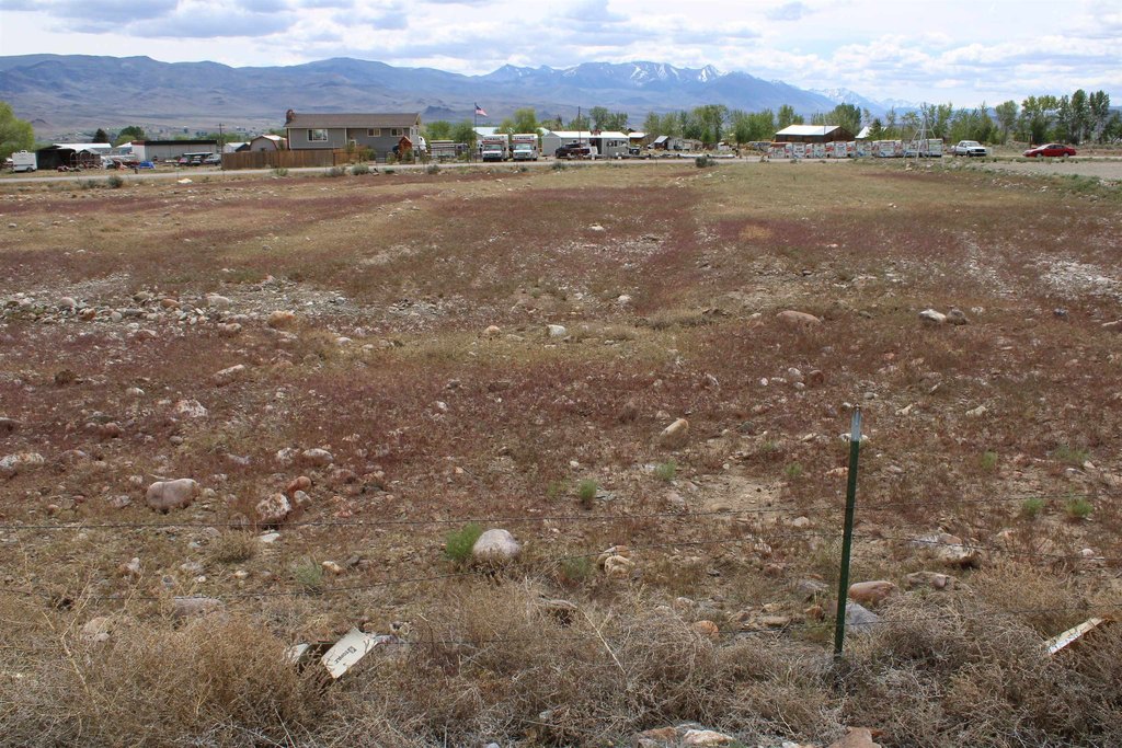Picture 16